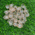 Flower for decoration - White colour