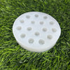 Blueberry mould