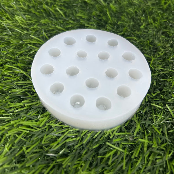 Blueberry mould