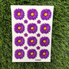 Daisy flowers UV DTF Sticker - Purple
