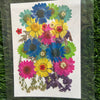 Pressed Flower 32 in 1 - F21