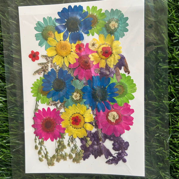 Pressed Flower 32 in 1 - F21