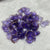 Petals for Decoration - Purple