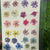 Pressed Dry Gypsy Flower - 24 in 1
