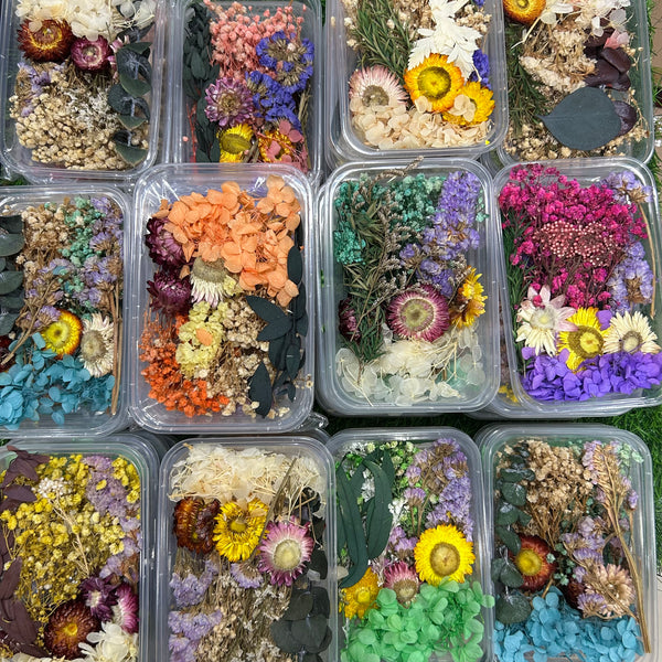 Dried Flowers Box - Random Color