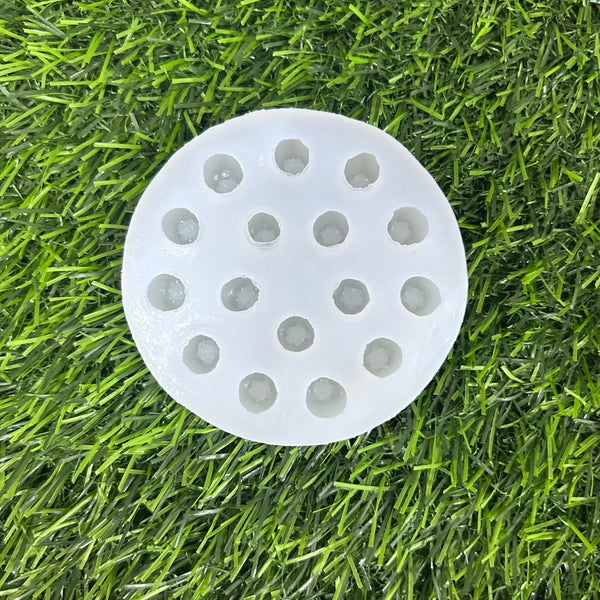 Blueberry mould