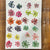 Pressed Dry Flower - 24 in 1