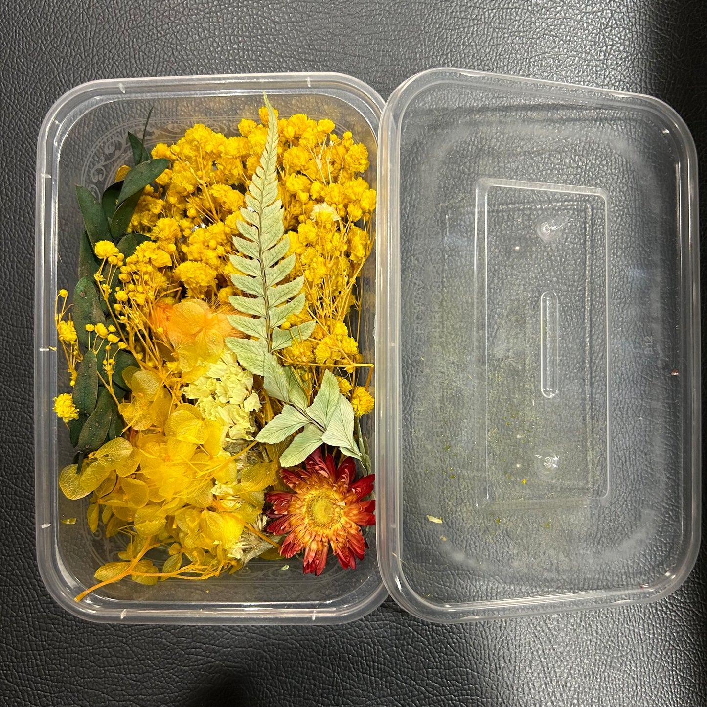 Dried Flowers Box - Random Color