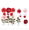 Pressed flower Red - 12 in 1 - F9