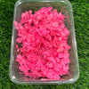 Hydrangea Dry Flower - Pink