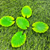 Lotus Leaf - Set of 5 Miniatures