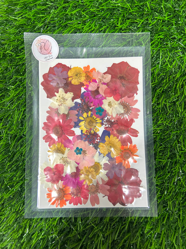 Pressed flower F18 40 in 1