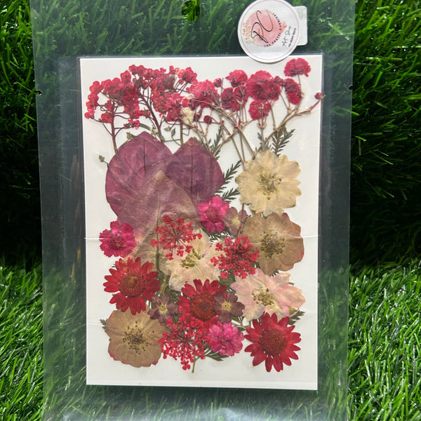 Pressed mixed- 32 in 1 - F12