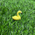 Flamingo - miniature