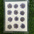 12 in 1 pressed flower - Dark VioletF6