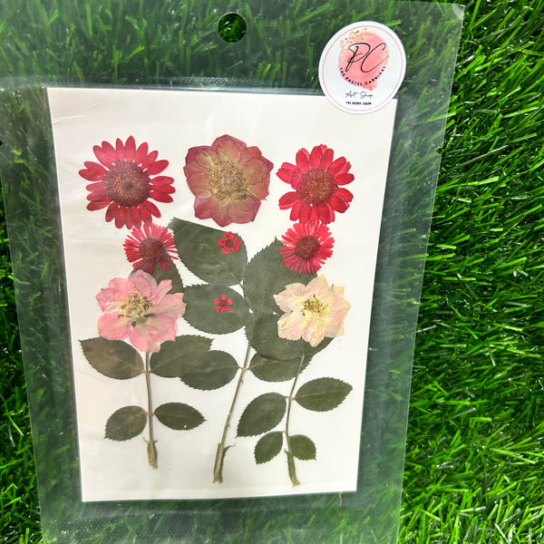 Pressed flower Red - 12 in 1 - F9