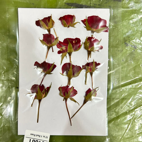 Red rose pressed flower - 12 in 1
