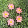 Red Lotus - Set of 5 Miniatures