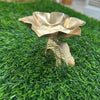 Elephant Urli