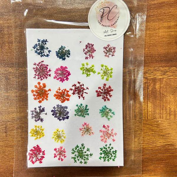 Pressed Dry Flower - 24 in 1