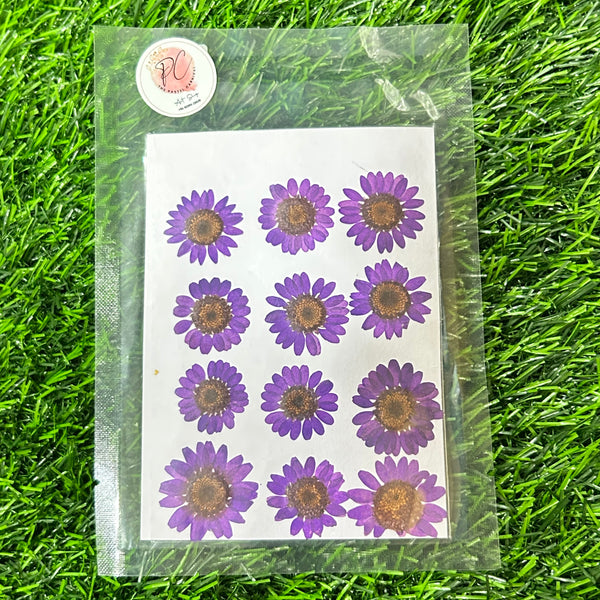 12 in 1 pressed flower - Purple F6