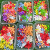 Hydrangea Dry Flower - Mixed