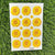 Daisy flowers UV DTF Sticker - Yellow