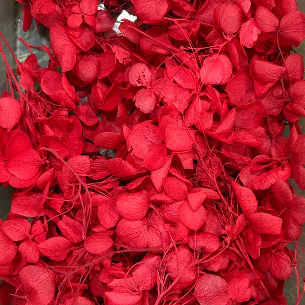 Hydrangea Dry Flower Box - Red