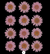 12 in 1 pressed flower - Baby Pink F6