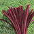 Pipecleaners Brown - set of 100