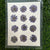 12 in 1 pressed flower - Dark Violet F6