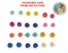 Mini Sun Dried Flower - Set of 24