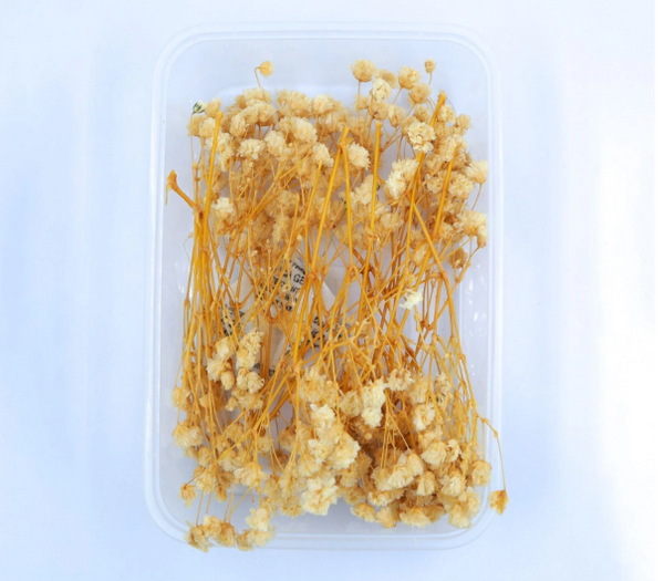 Baby Breath Dry Flower