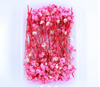 Baby Breath Dry Flower- Pink