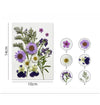 Pressed flowers 12 in 1 ( Firozi) - F8