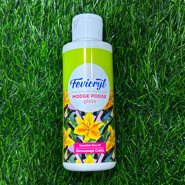 Fevicryl Modge Podge