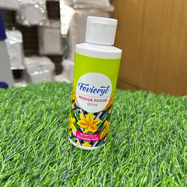 Fevicryl Modge Podge Gloss