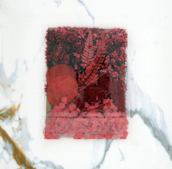 Dried Flowers - Red