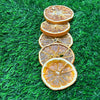 Dried Orange Slices - Set of 5