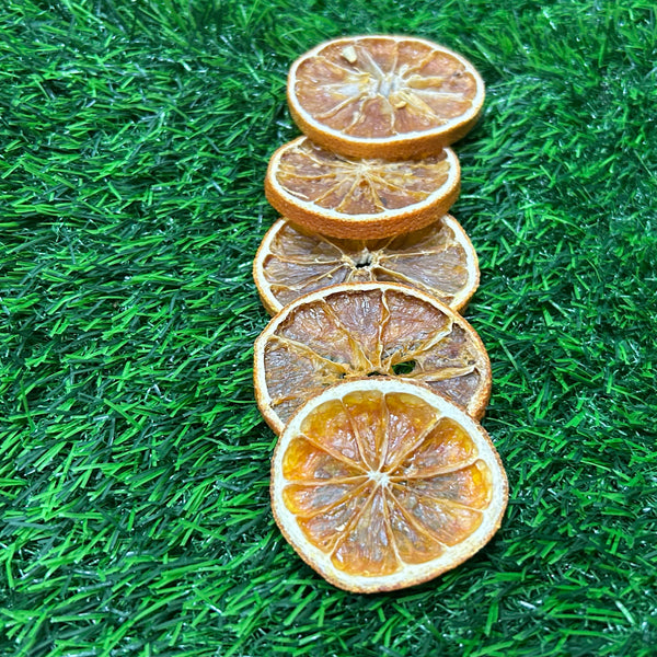 Dried Orange Slices - Set of 5