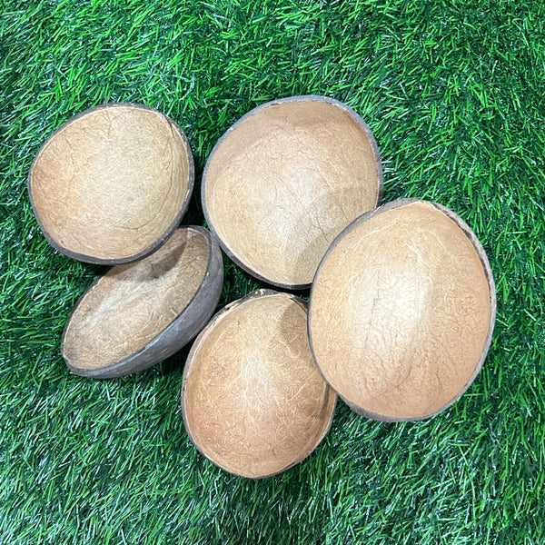 Coconut Shell