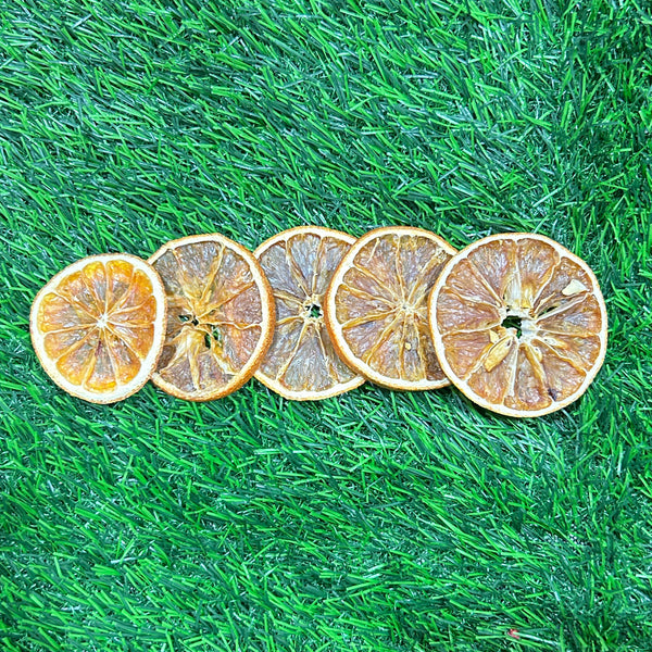 Dried Orange Slices - Set of 5