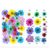 Pressed flowers multi - 35 in 1