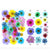 Pressed flowers multi - 35 in 1