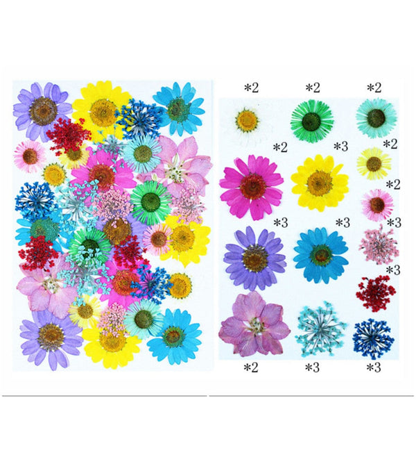 Pressed flowers multi - 35 in 1