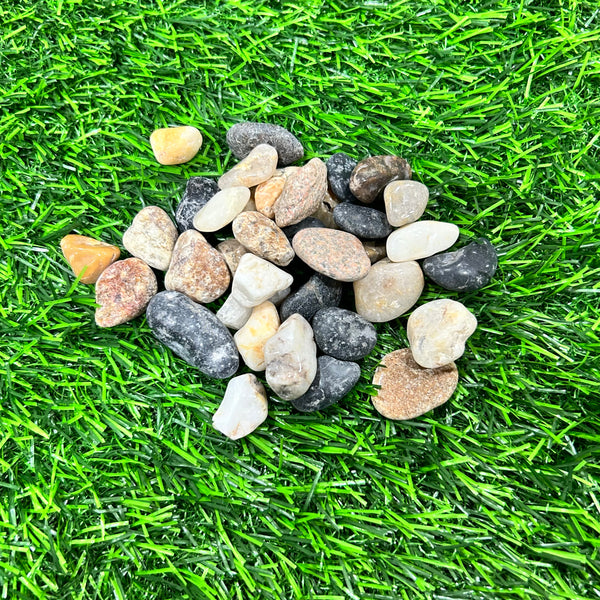 Pebbles- 200 GMS