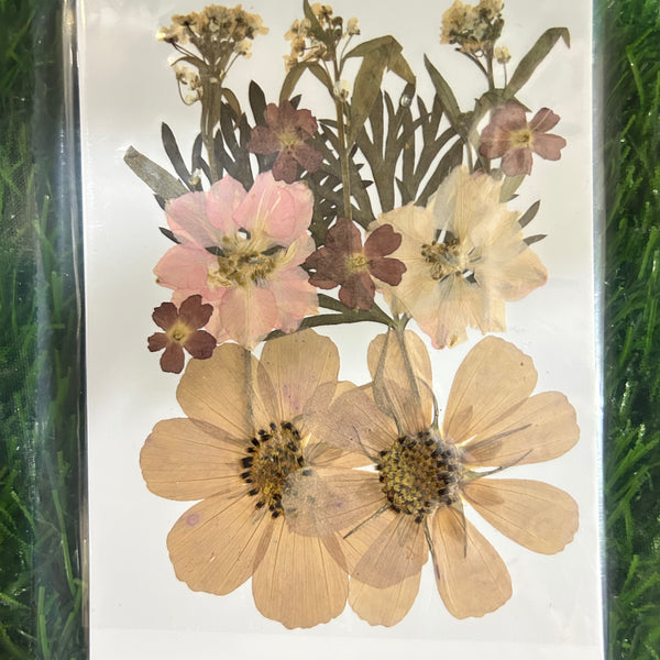 15 in 1 Pressed flower - F5
