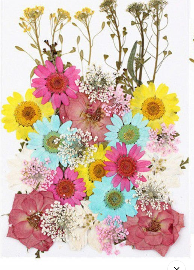 32 In 1 Pressed Flowers
