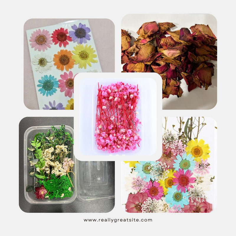 Dry Flowers