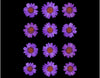 Pressed Daisy Violet - Set of 12